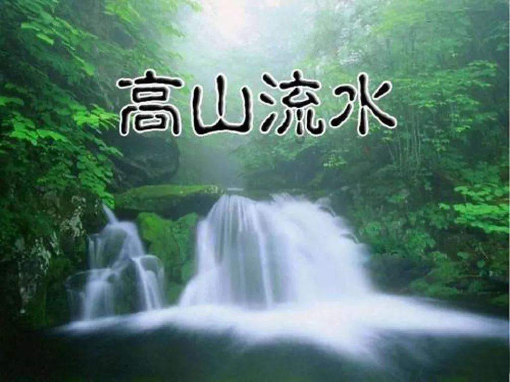 救援袋鼬